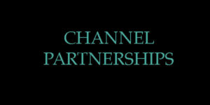 Read more about the article Channel Partnerships – Why They Matter?
