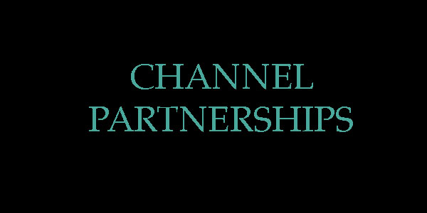 You are currently viewing Channel Partnerships – Why They Matter?
